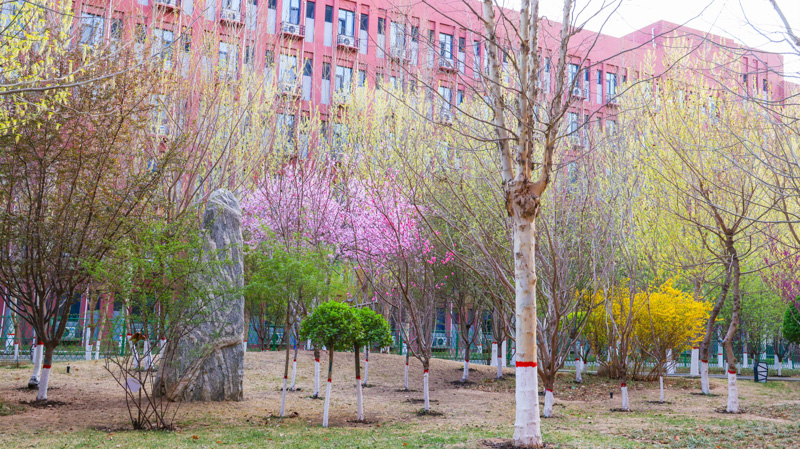 小-2.jpg