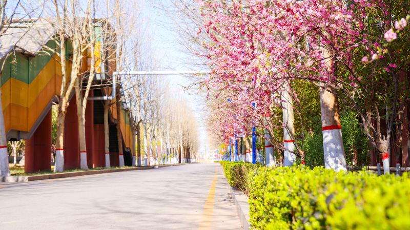 小-5.jpg