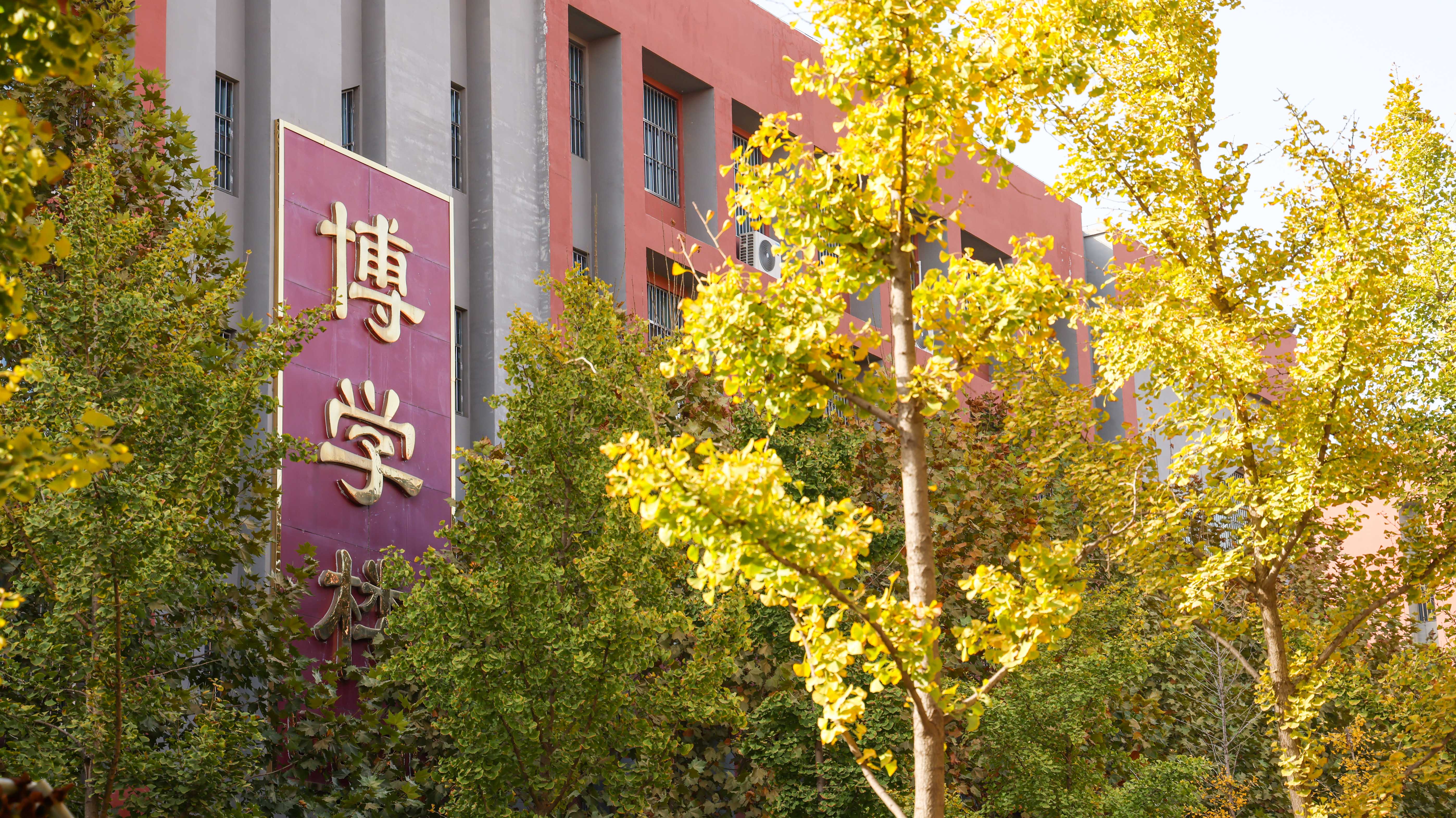 2023-11-4 风景 (3).jpg