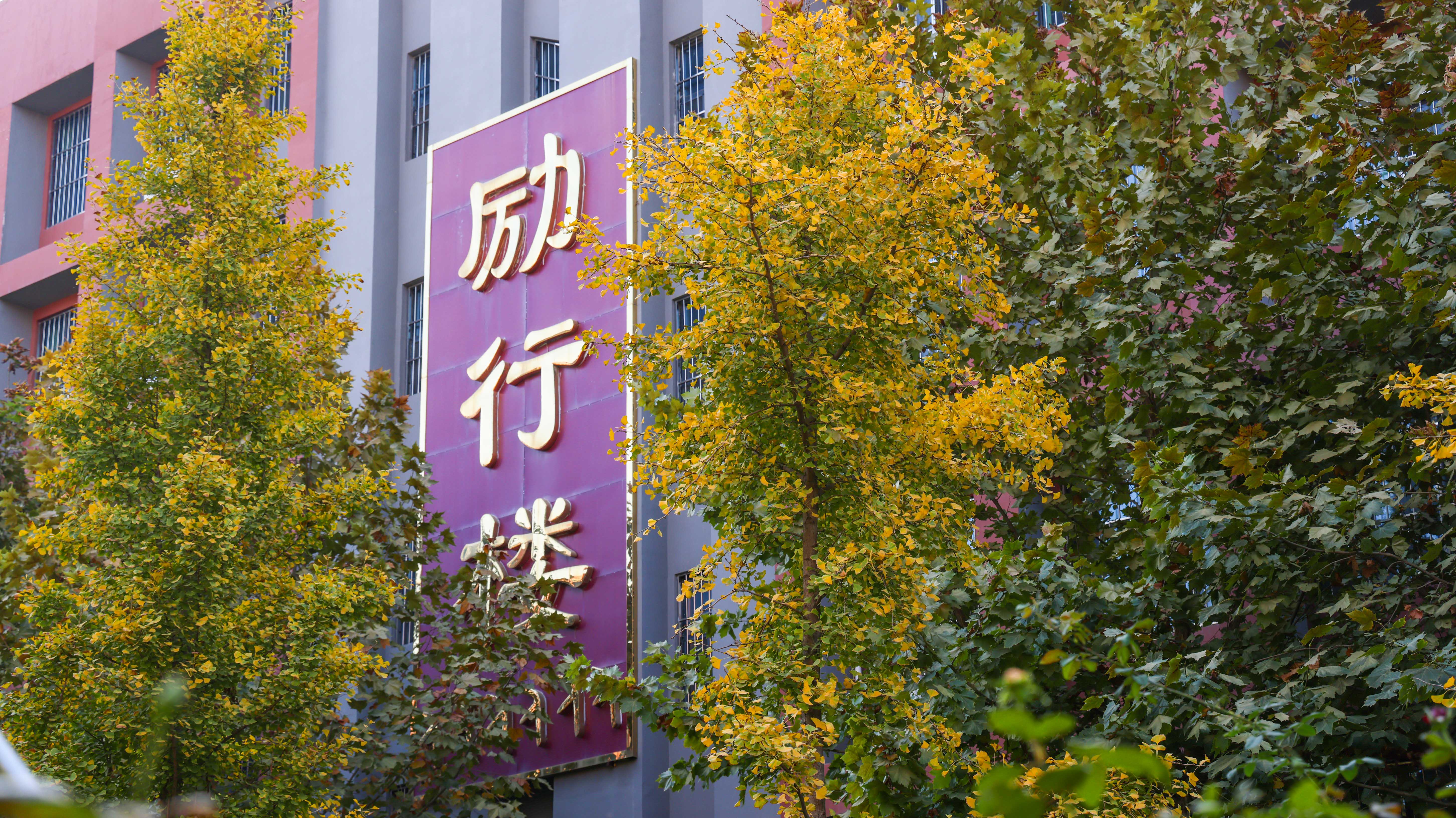 2023-11-4 风景 (2).jpg