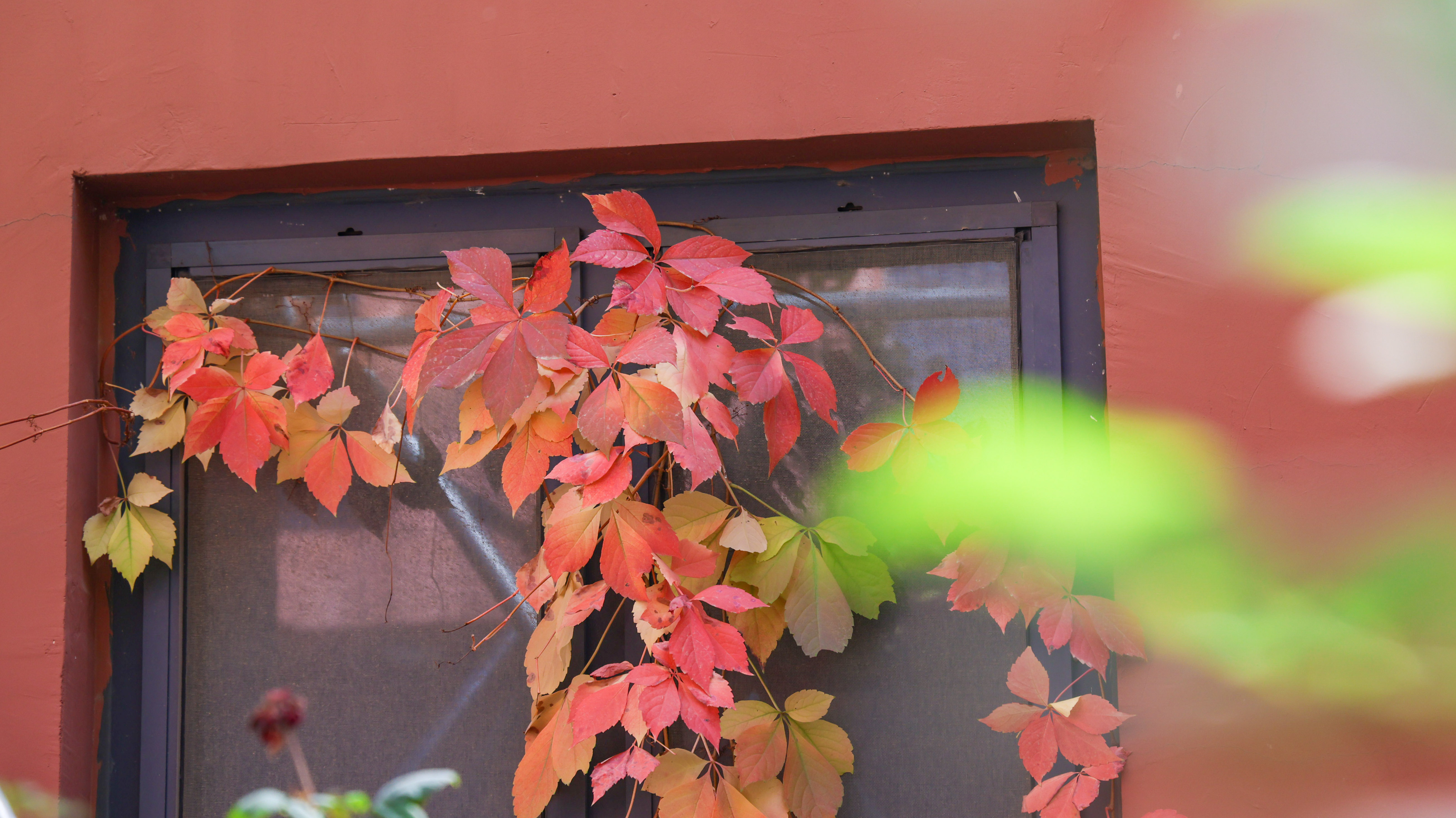 2023-11-4 风景 (1).jpg