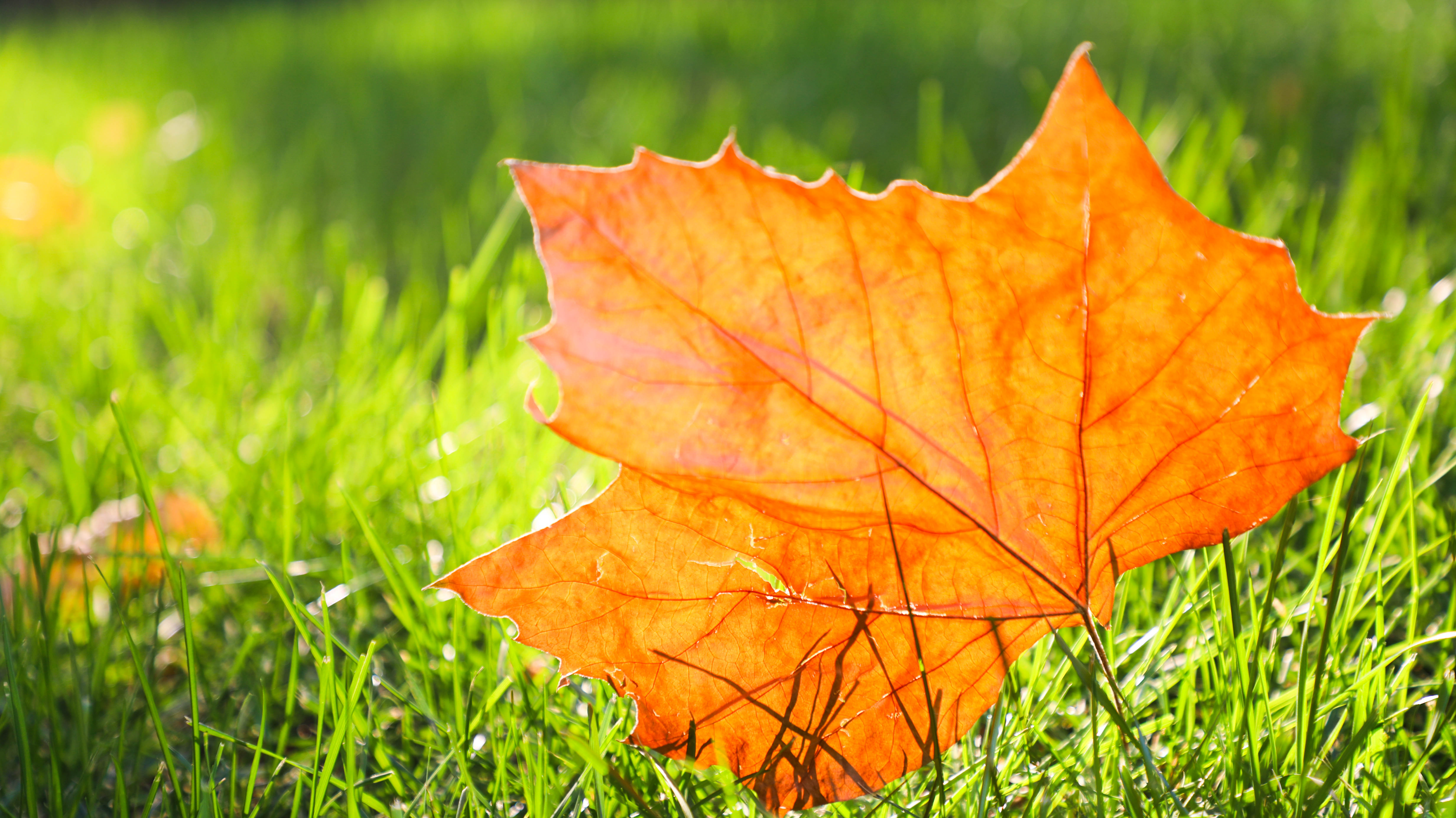 2023-10-08 寒露 (2).jpg