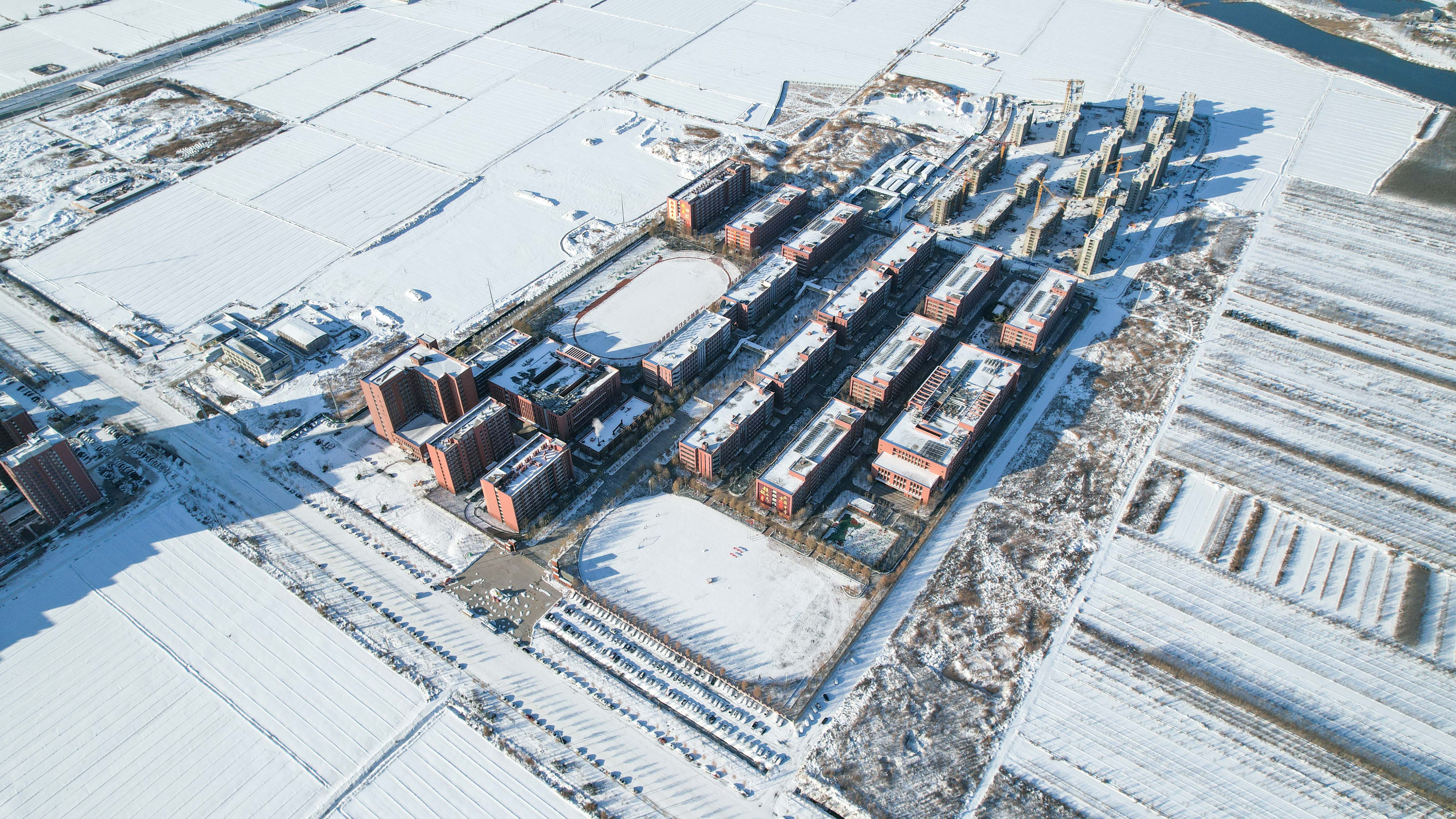 2023-11-11 雪景 (10).jpg